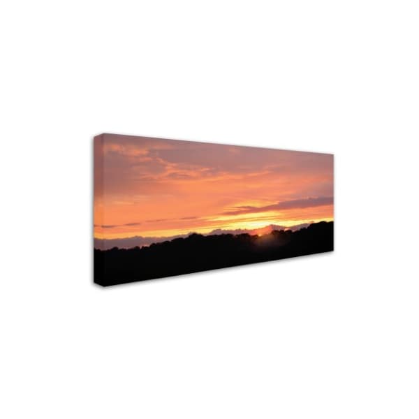 Kurt Shaffer 'Valley Sunset' Canvas Art,16x32